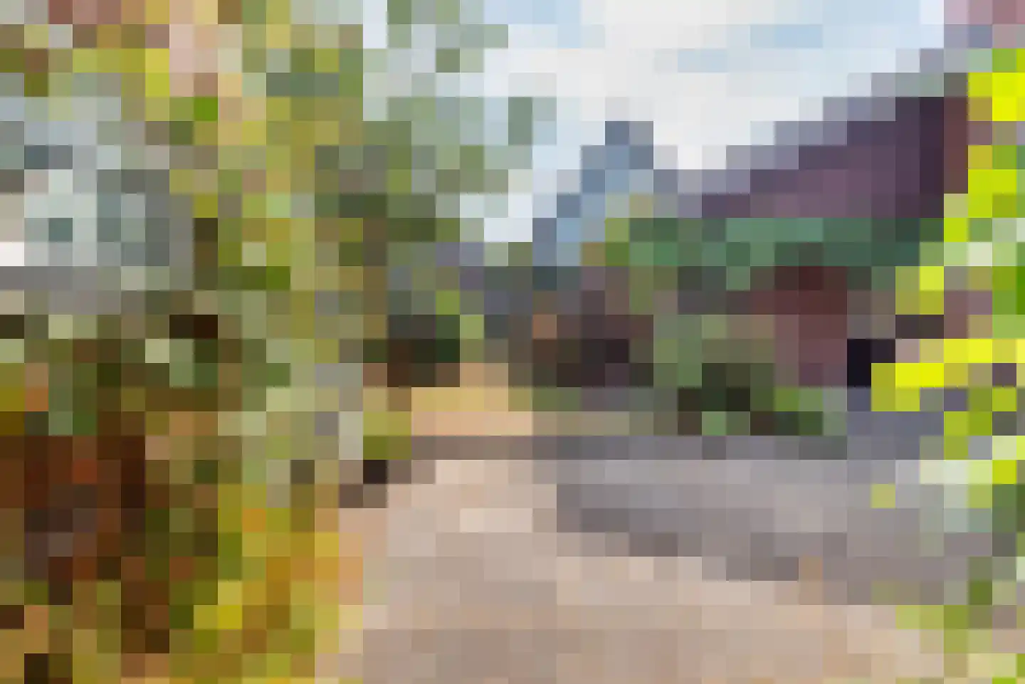 Lijsterstraat 8 Ulft thumbnail 34