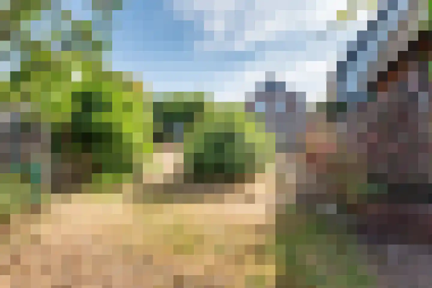 Lijsterstraat 8 Ulft thumbnail 35