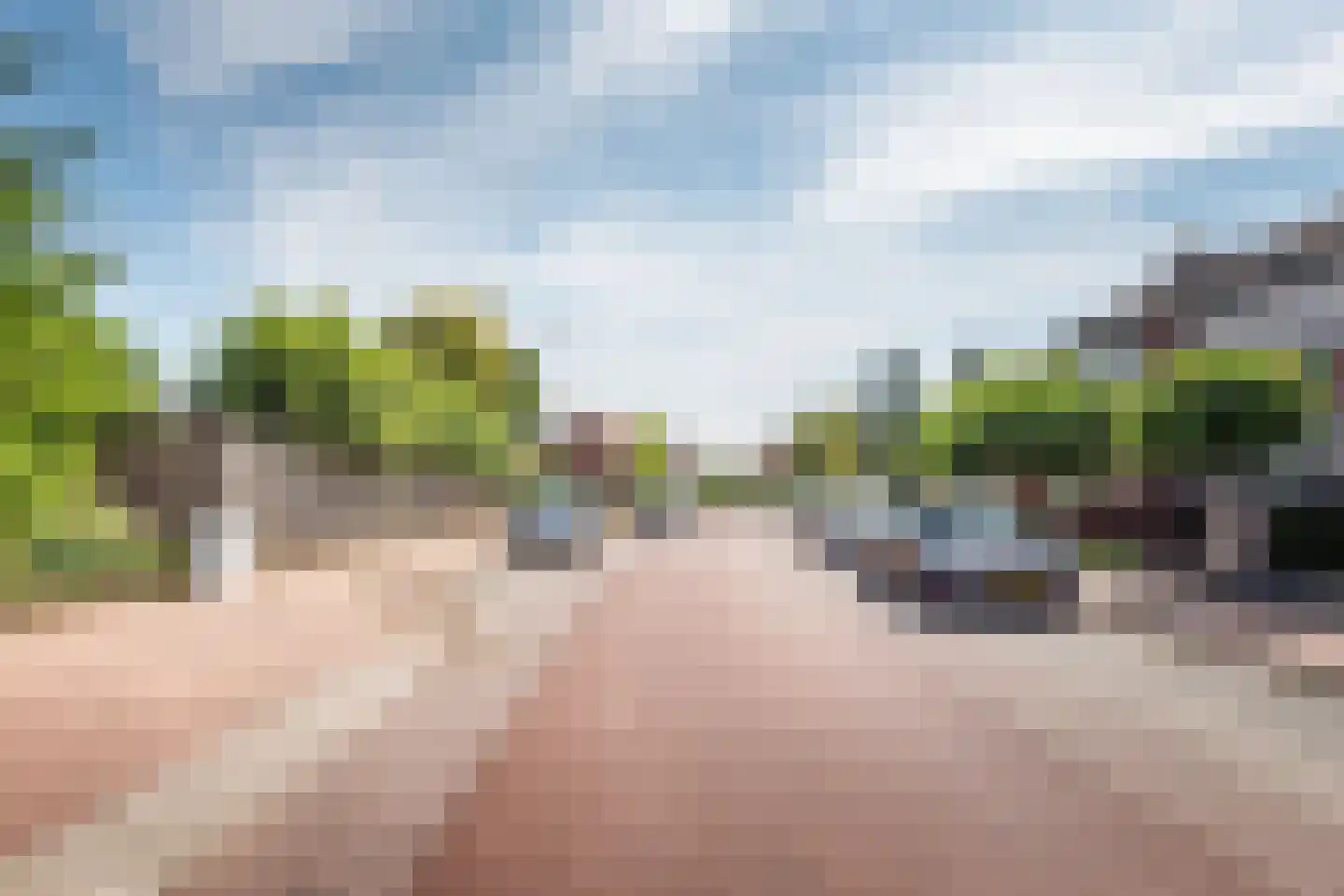 Lijsterstraat 8 Ulft thumbnail 41