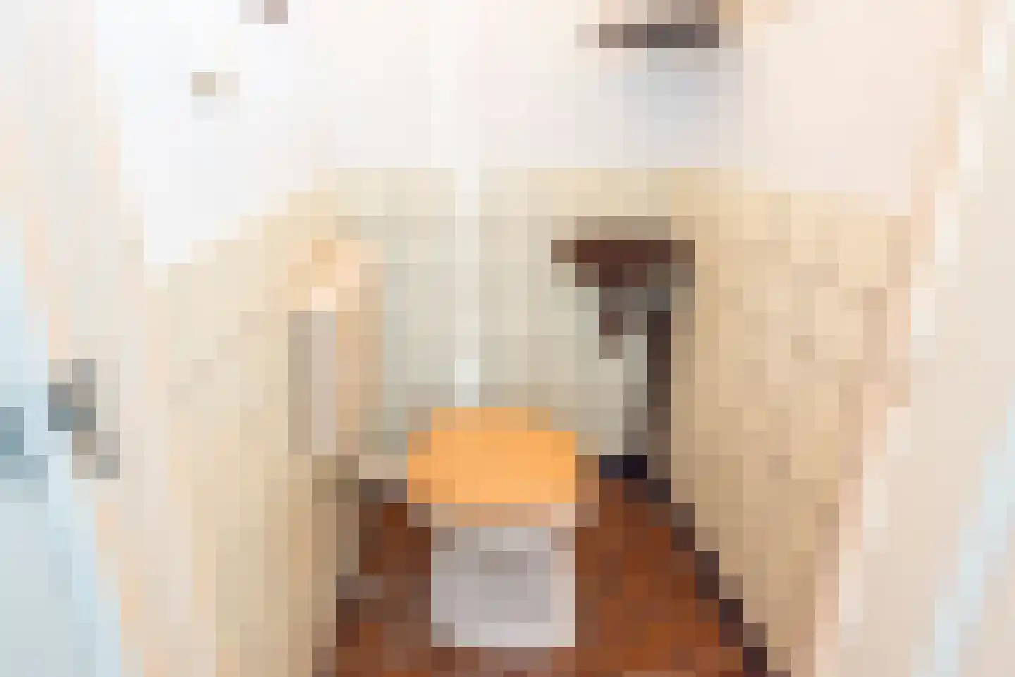 Lijsterstraat 8 Ulft thumbnail 9