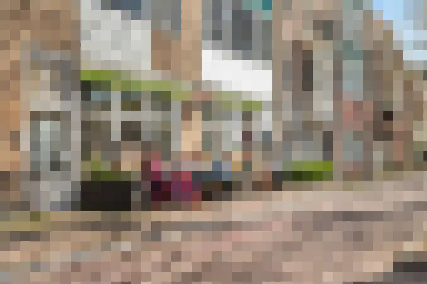 Lijsterstraat 81 A Utrecht thumbnail 37