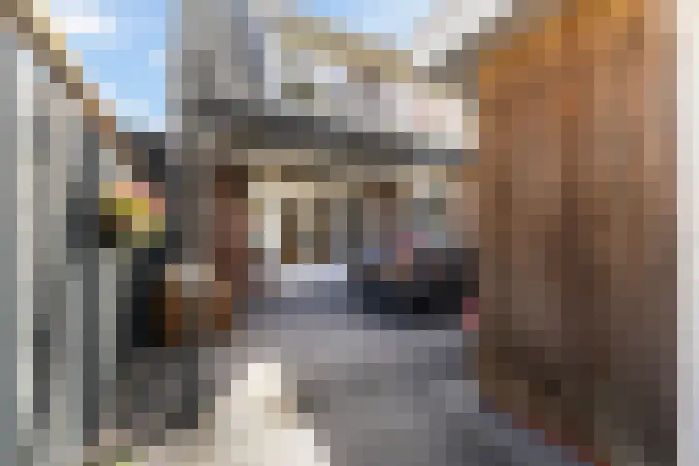 Lijsterstraat 82 Leeuwarden thumbnail 38