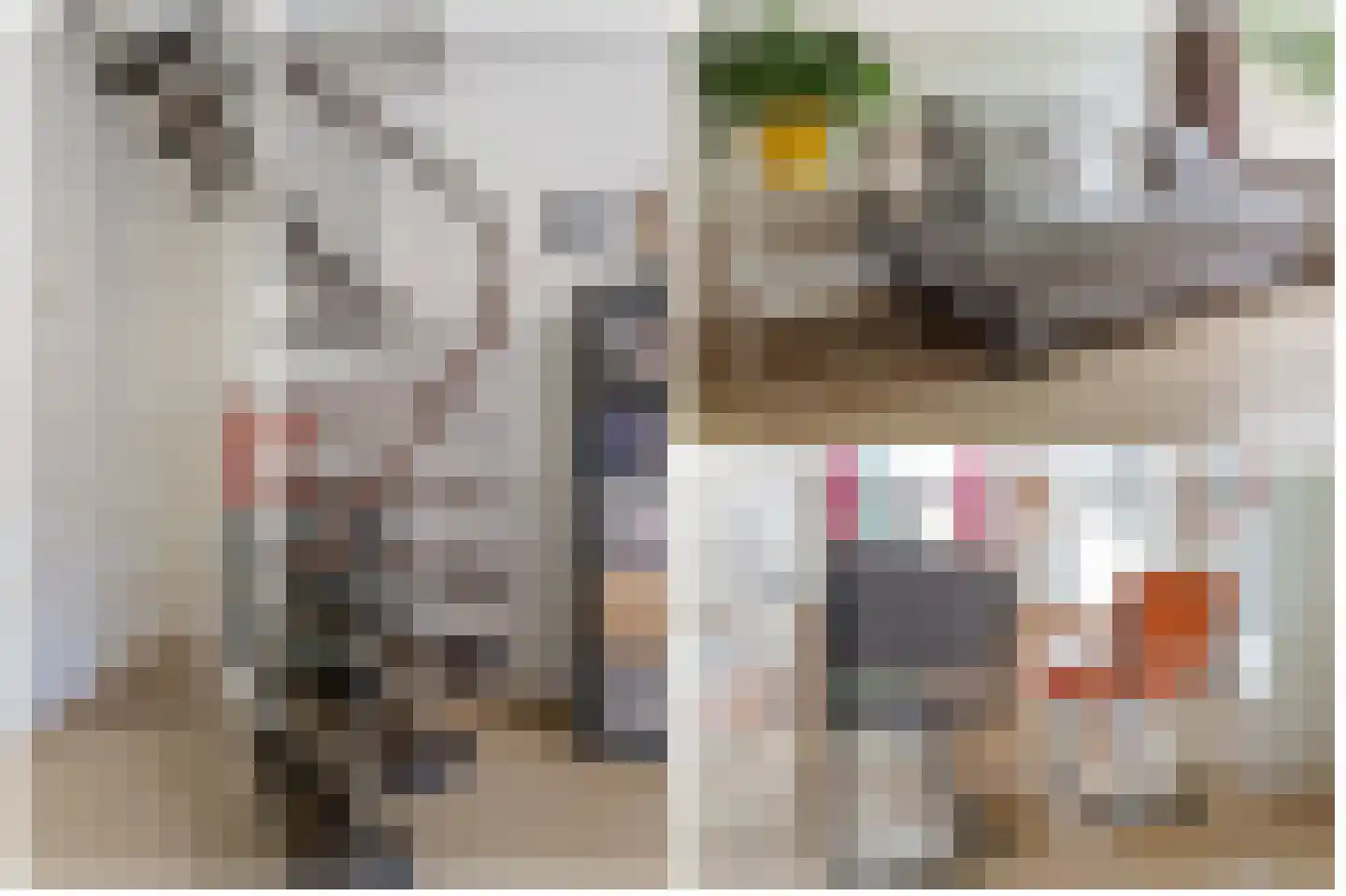 Lijsterstraat 84 Utrecht thumbnail 10