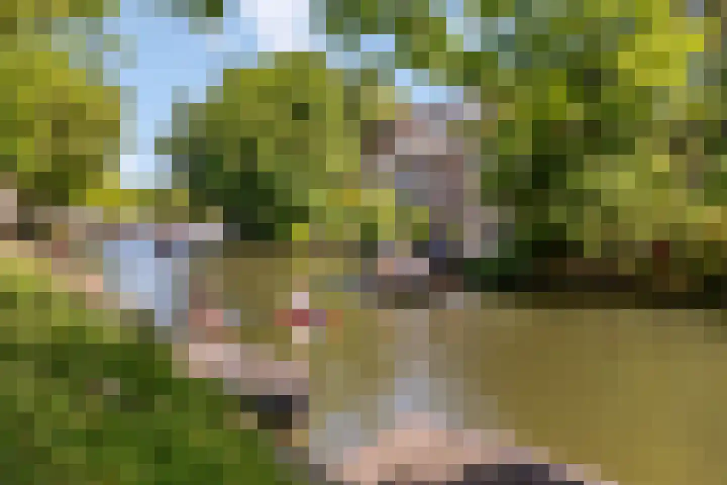 Lijsterstraat 84 Utrecht thumbnail 32