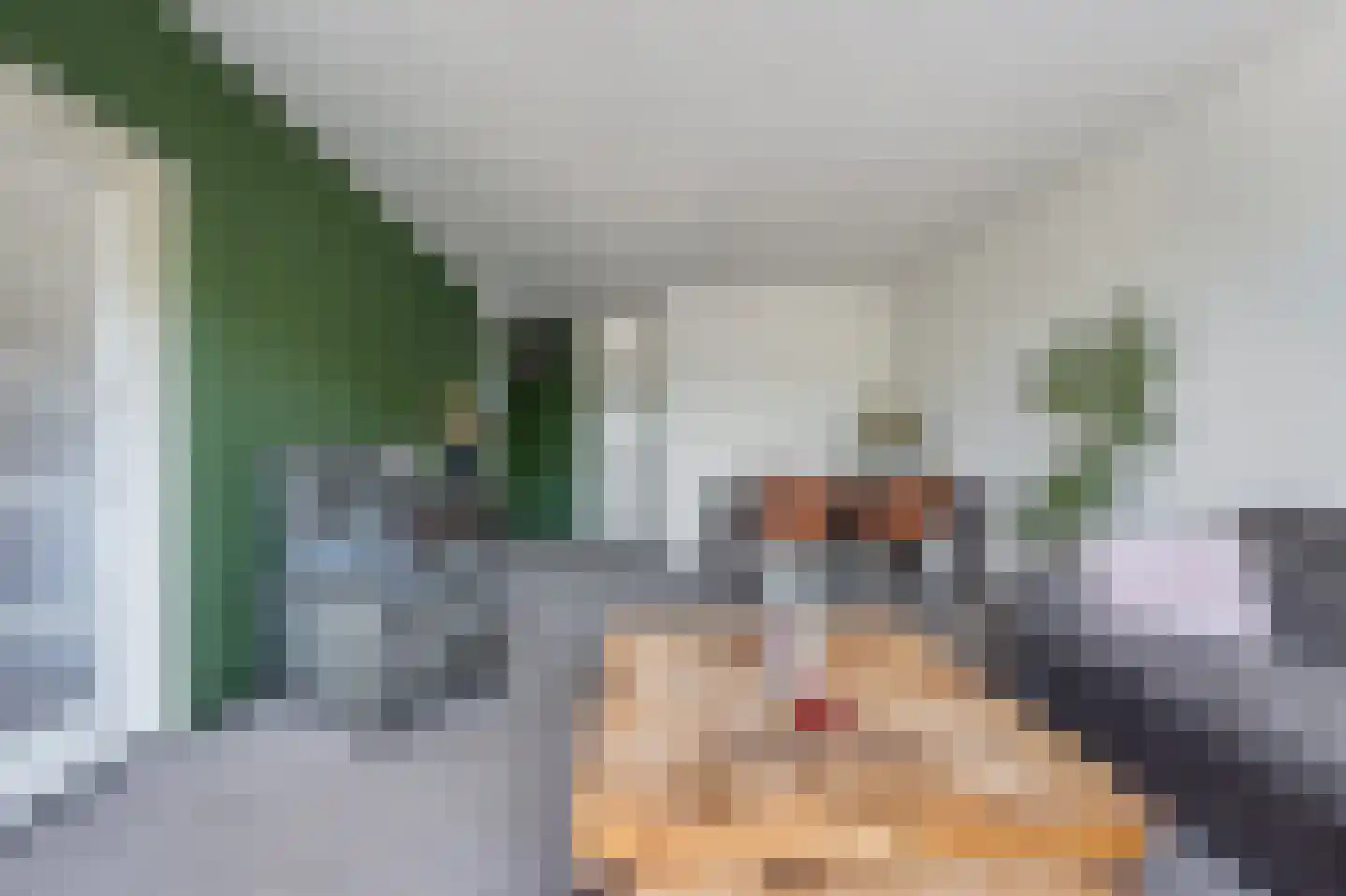 Lijsterstraat 88 Wormerveer thumbnail 12