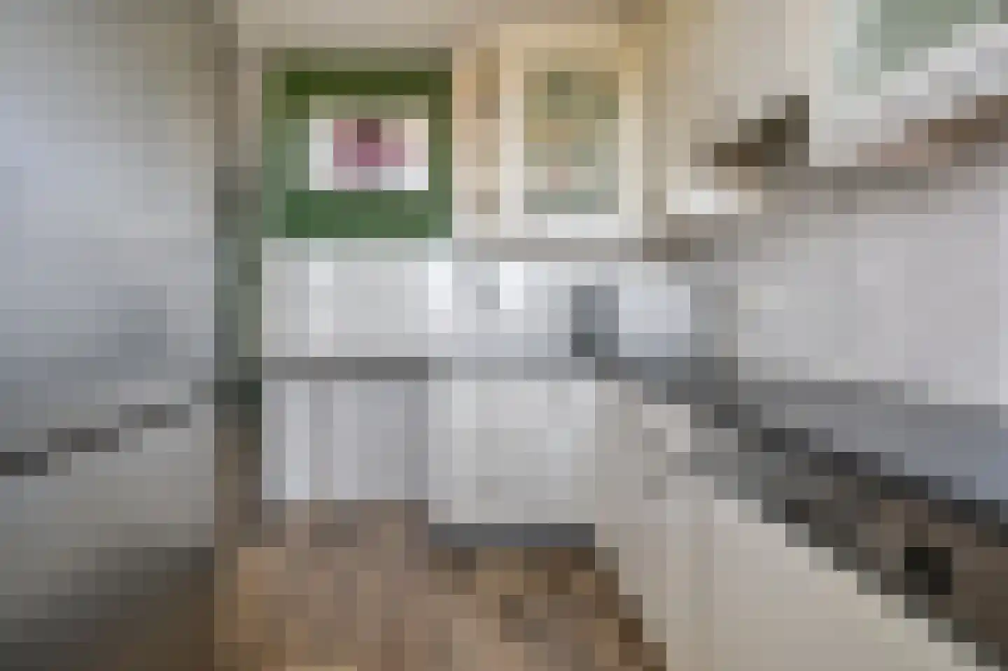 Lijsterstraat 88 Wormerveer thumbnail 15