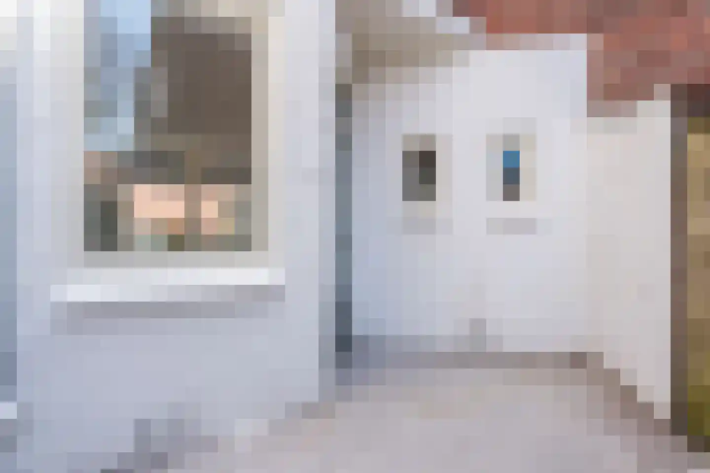 Lijsterstraat 9 Leiden thumbnail 39