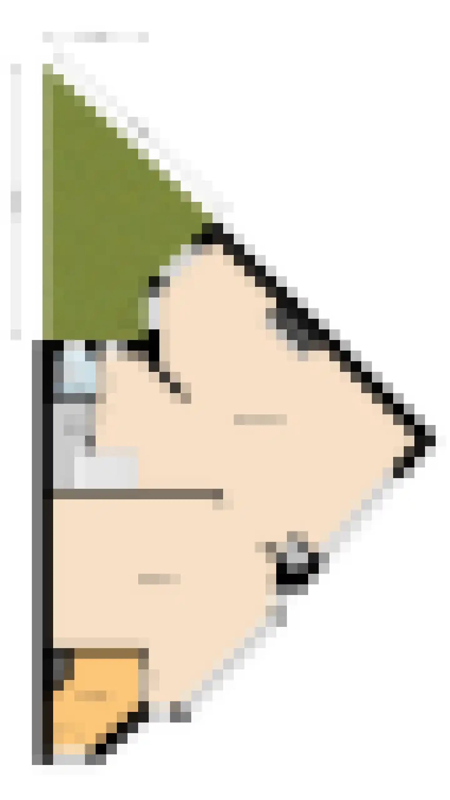 Lijsterstraat 9 Leiden thumbnail 48