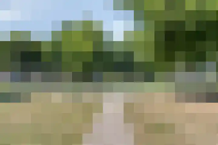 Lijsterstraat 9 Tilburg thumbnail 37