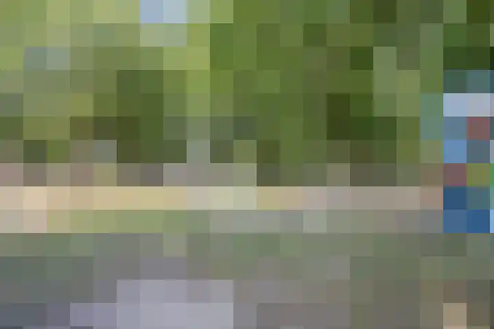 Lijsterstraat 9 Tilburg thumbnail 38