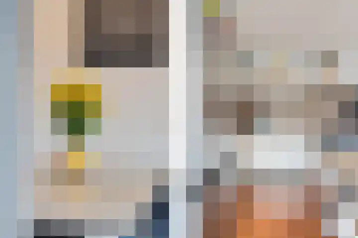 Lijsterveld 30 Zoetermeer thumbnail 16
