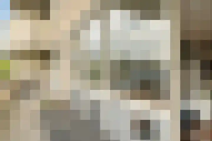 Lijsterveld 30 Zoetermeer thumbnail 23