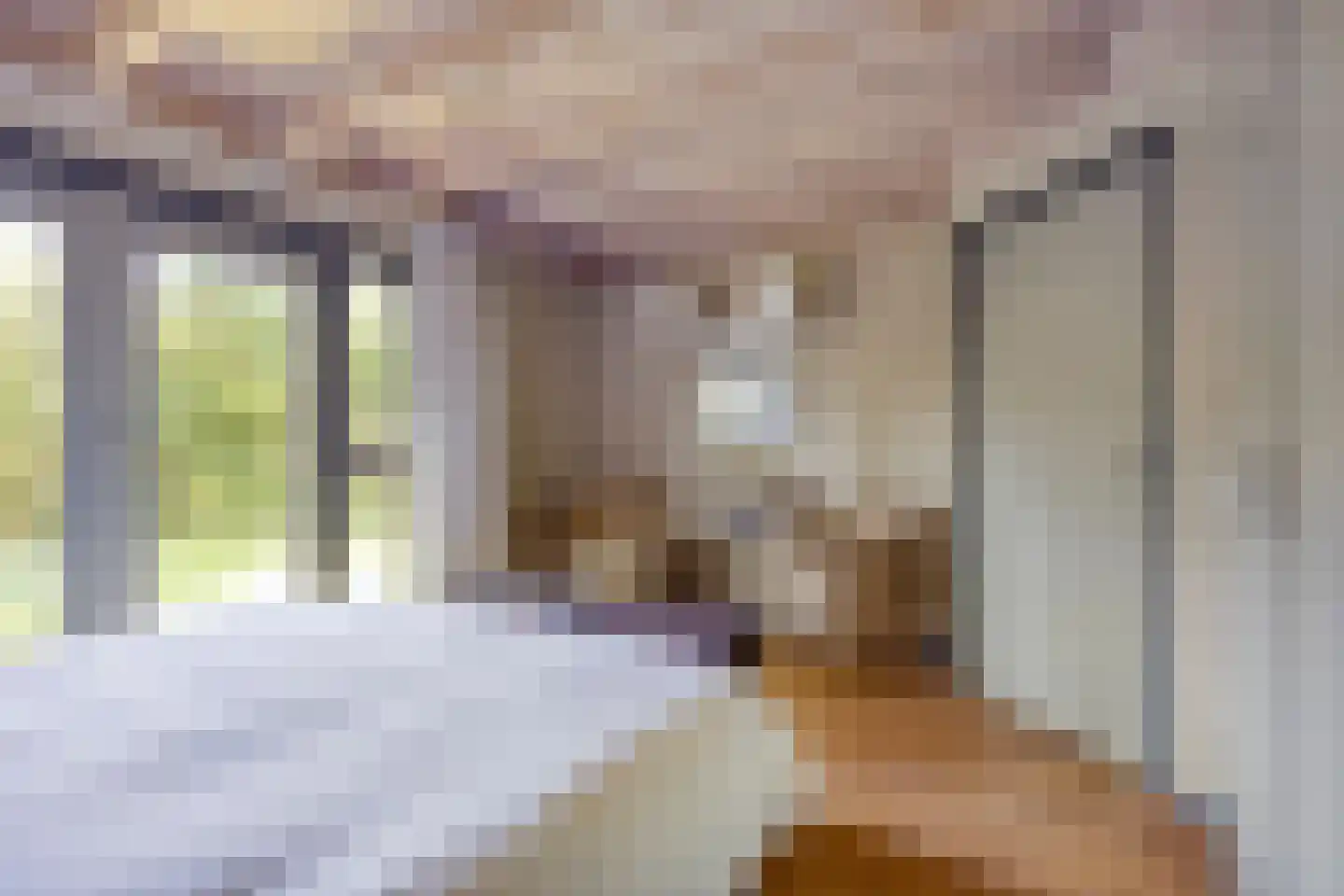 Lijsterweg 13 Renesse thumbnail 15