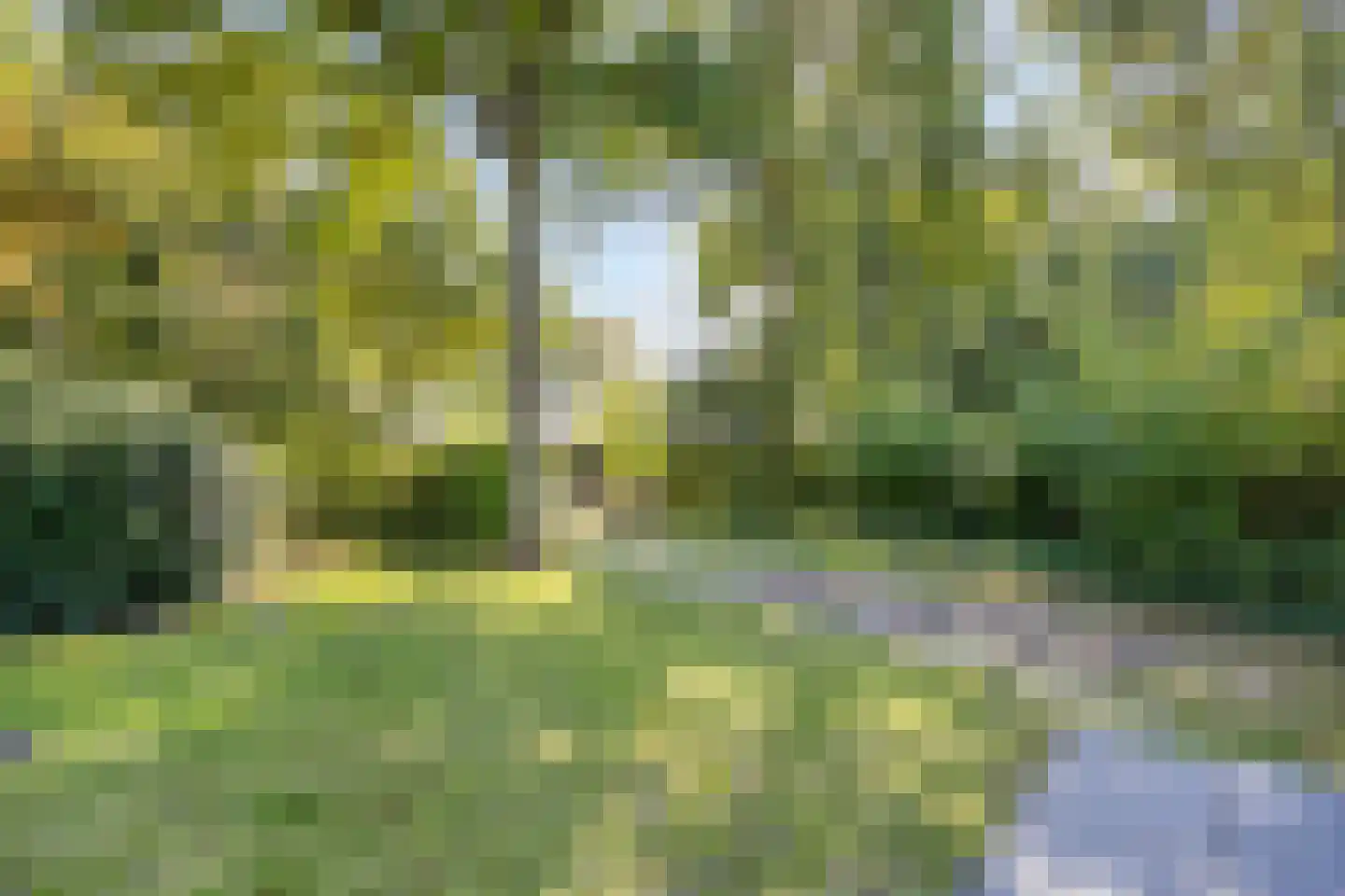 Lijsterweg 13 Renesse thumbnail 23