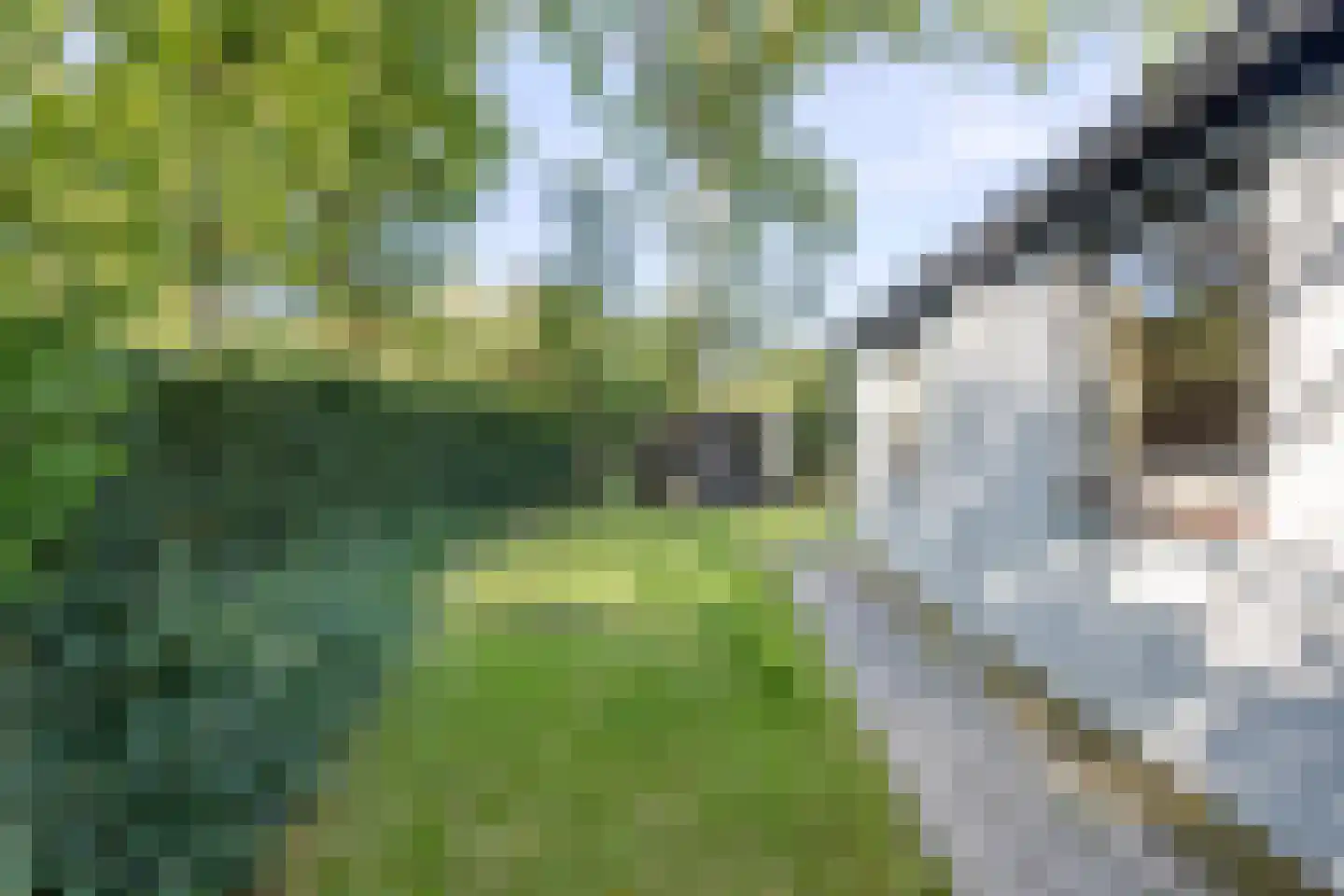 Lijsterweg 13 Renesse thumbnail 24