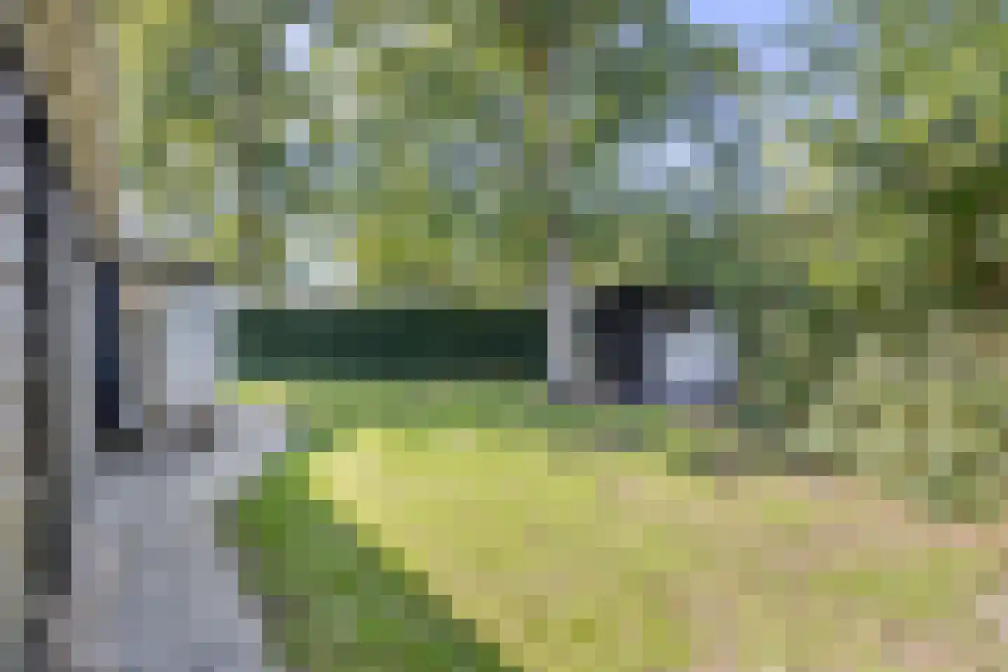 Lijsterweg 13 Renesse thumbnail 27