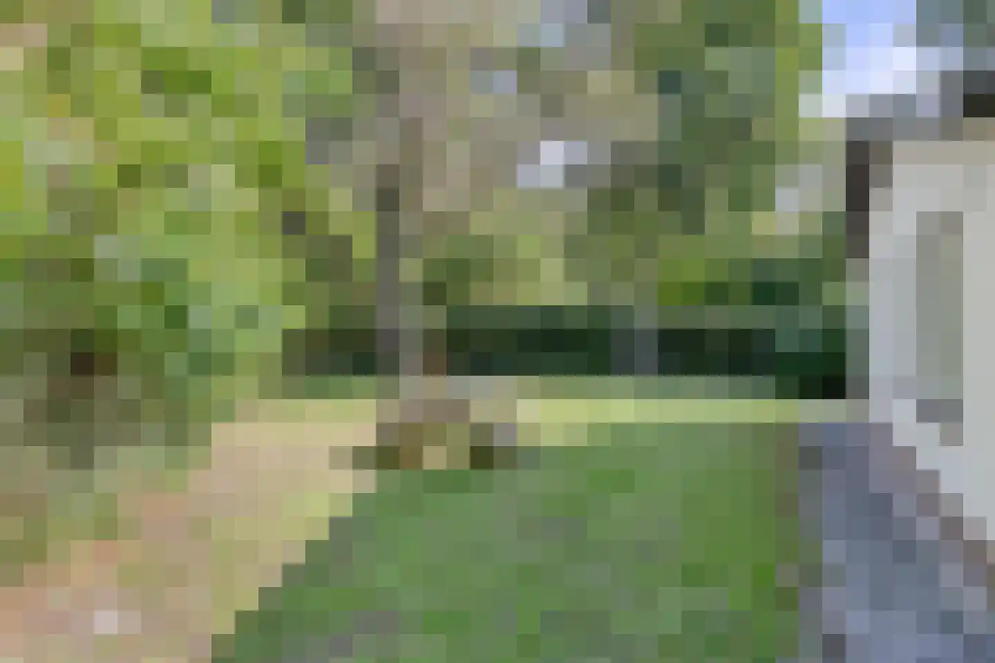 Lijsterweg 13 Renesse thumbnail 28