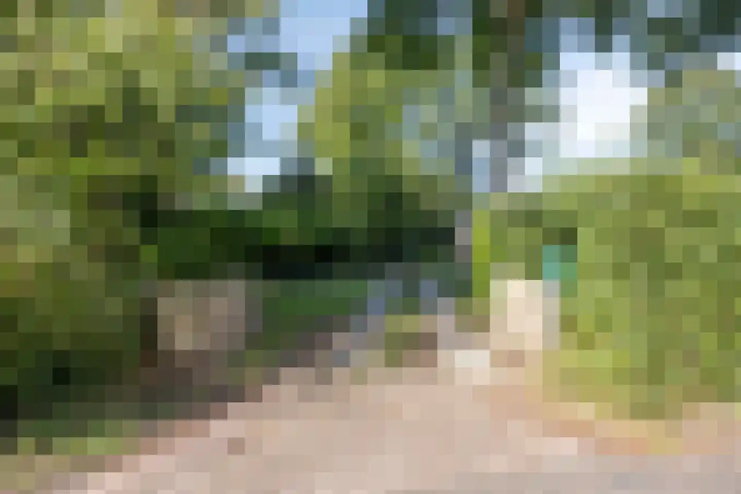 Lijsterweg 13 Renesse thumbnail 5