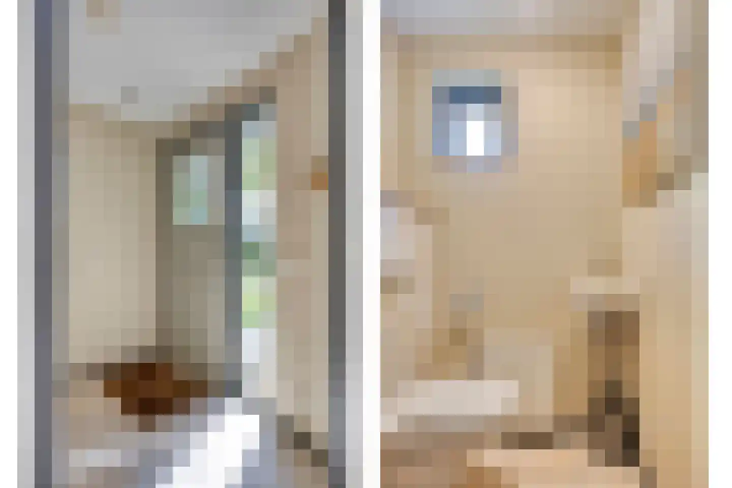 Lijsterweg 13 Renesse thumbnail 6