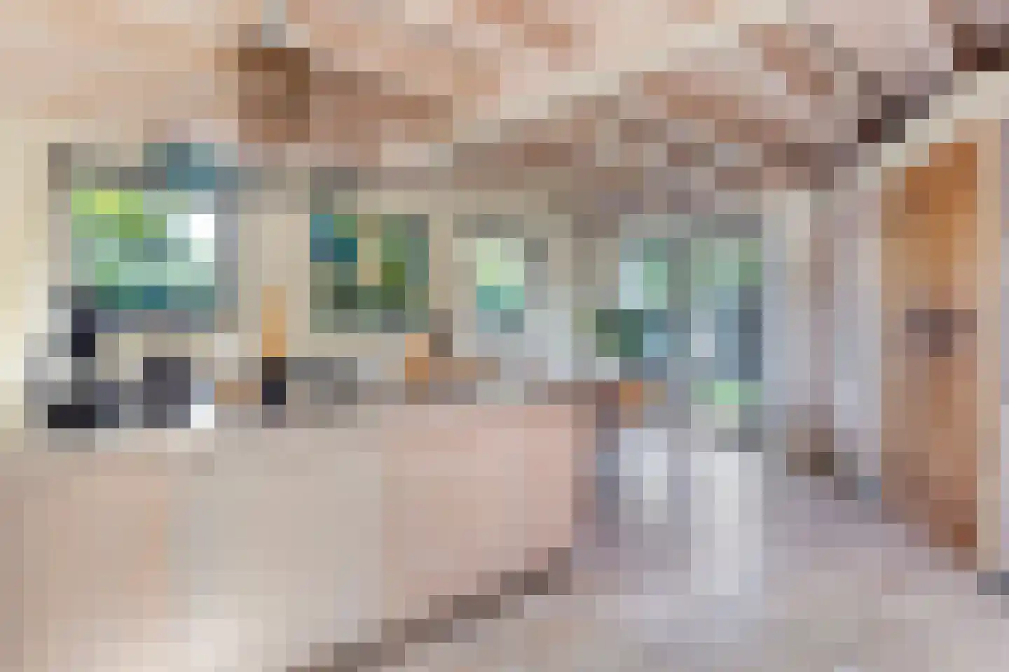 Lijsterweg 13 Renesse thumbnail 7