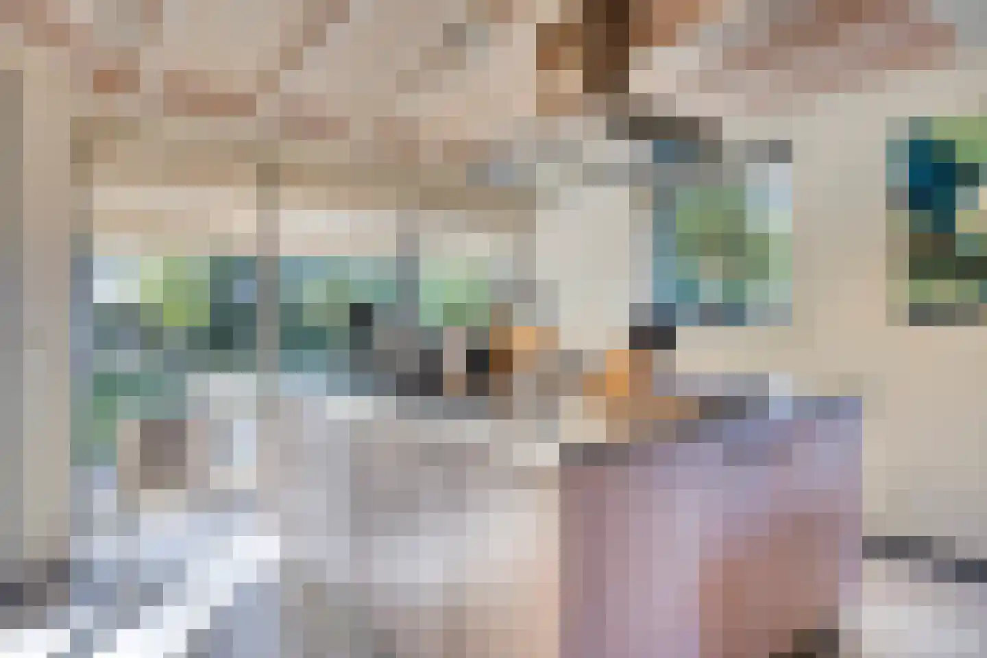 Lijsterweg 13 Renesse thumbnail 9