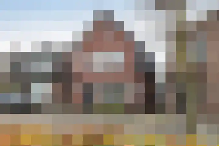 Lijsterweg 14 Hengelo thumbnail 37