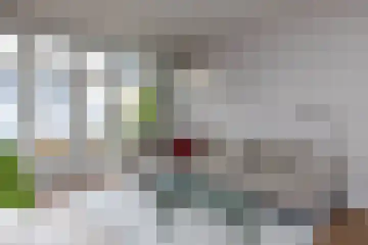 Lijsterweg 14 Hengelo thumbnail 7