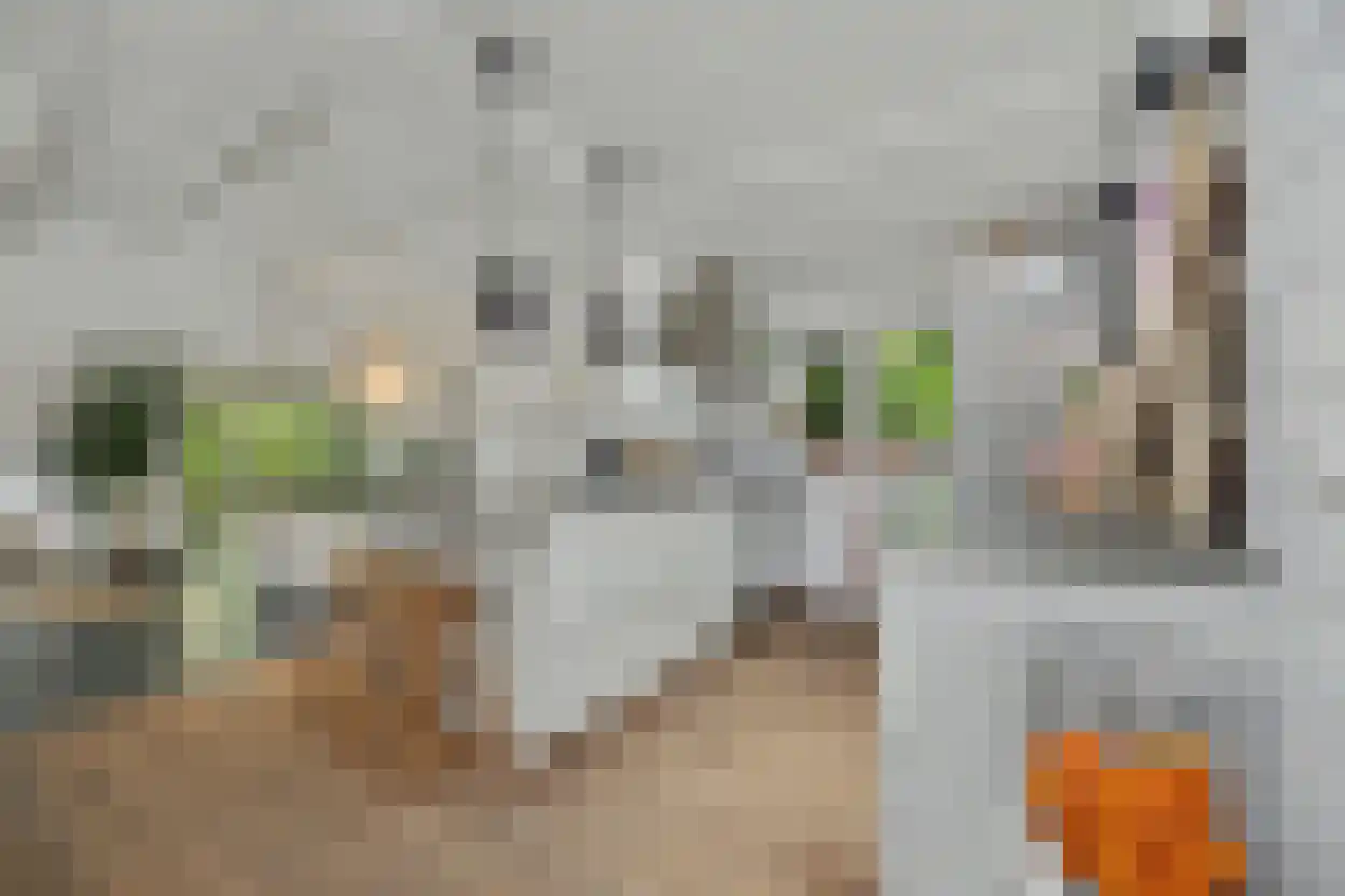 Lijsterweg 17 Renesse thumbnail 11