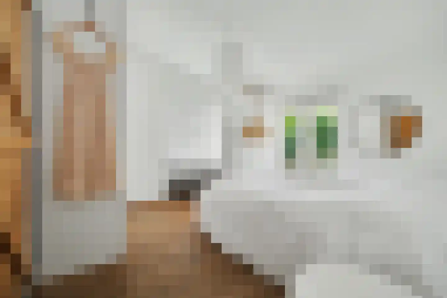 Lijsterweg 17 Renesse thumbnail 15