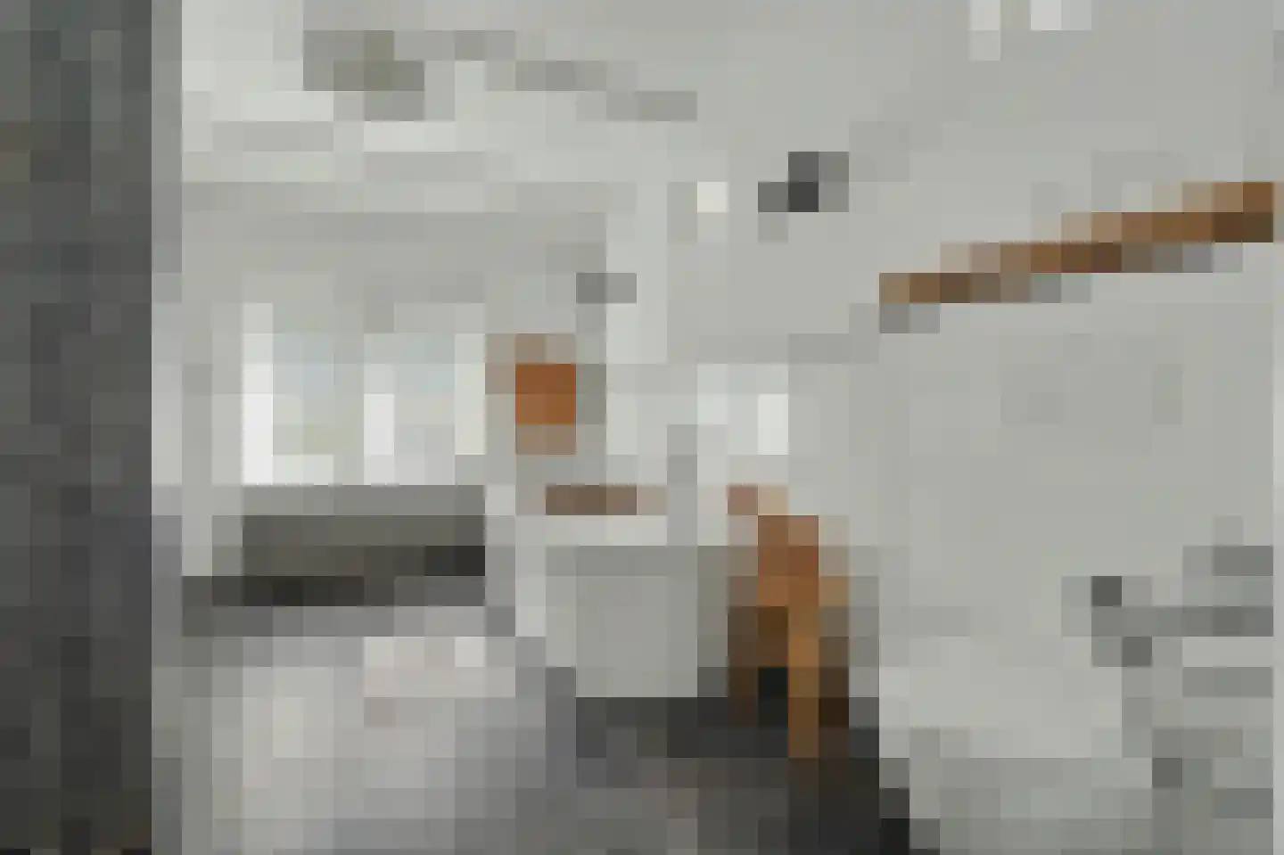 Lijsterweg 17 Renesse thumbnail 20