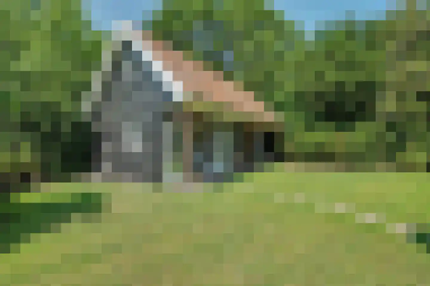 Lijsterweg 17 Renesse thumbnail 23
