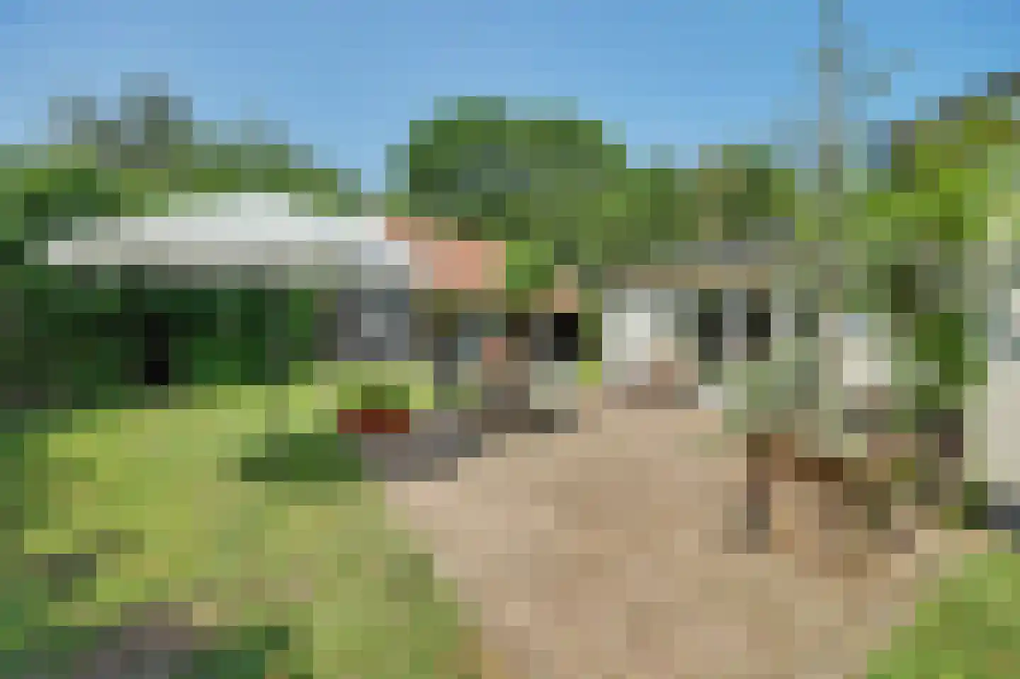 Lijsterweg 17 Renesse thumbnail 30