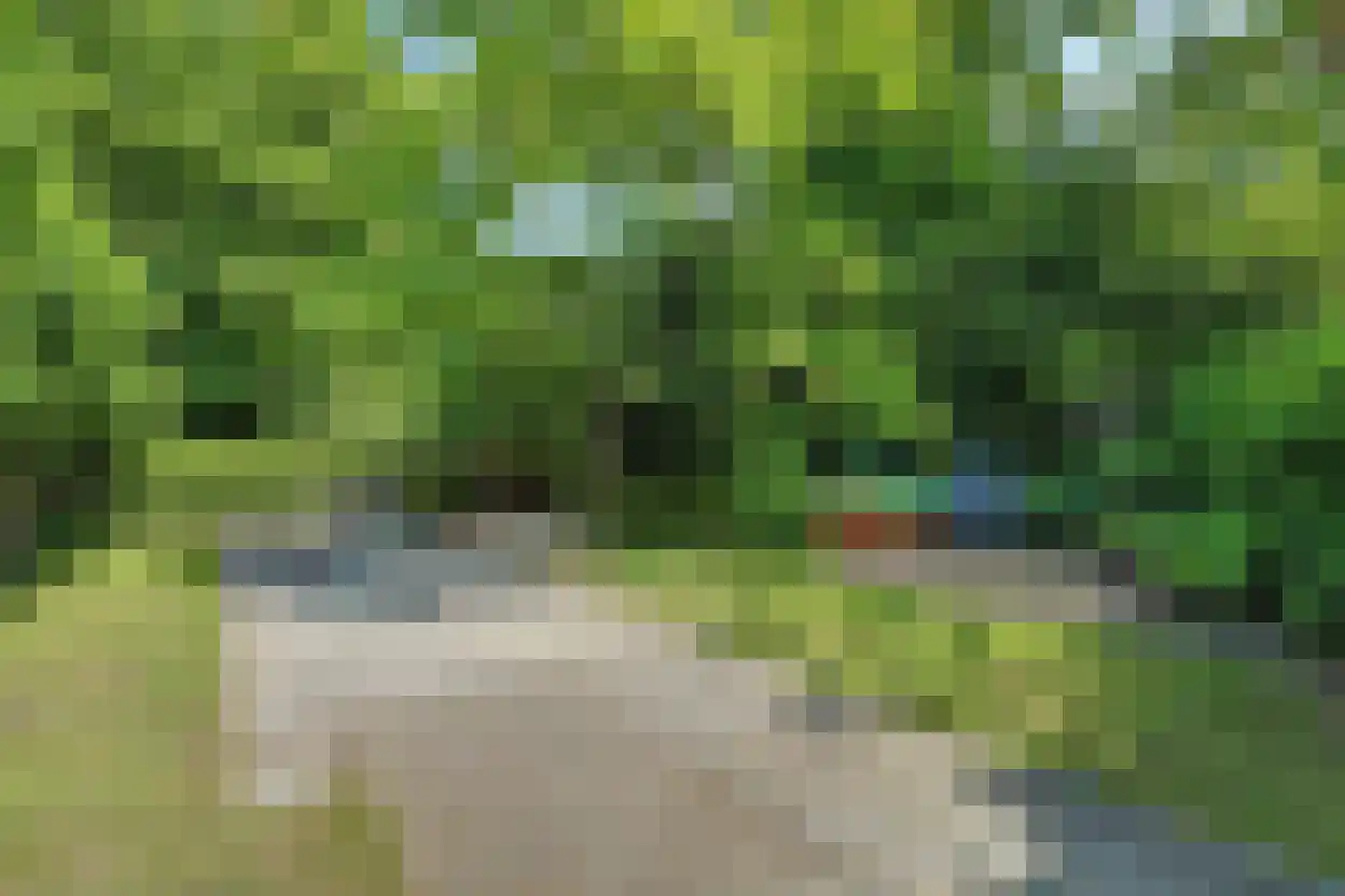 Lijsterweg 17 Renesse thumbnail 33