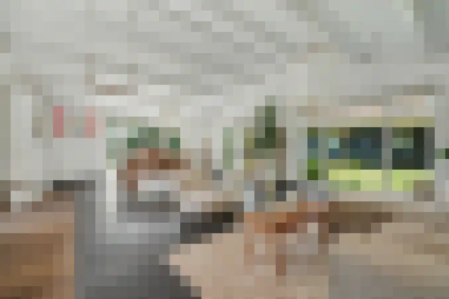 Lijsterweg 17 Renesse thumbnail 4