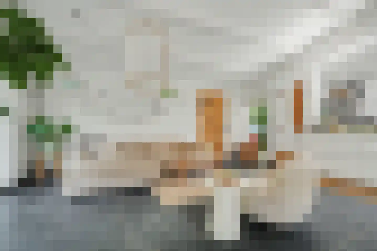 Lijsterweg 17 Renesse thumbnail 5