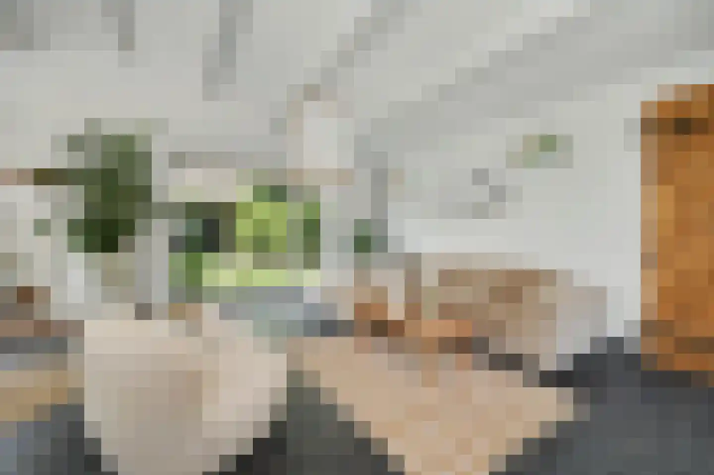 Lijsterweg 17 Renesse thumbnail 7