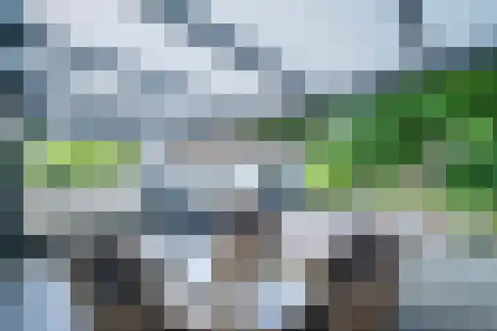 Lijsterweg 2 A Velden thumbnail 31