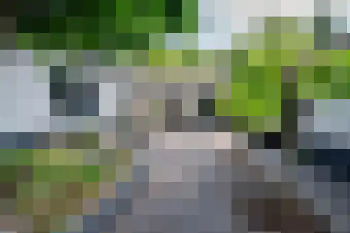 Lijsterweg 2 A Velden thumbnail 33