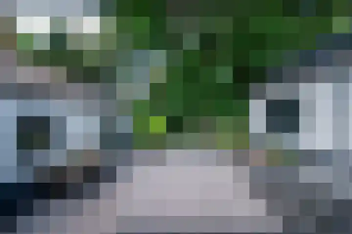 Lijsterweg 2 A Velden thumbnail 34