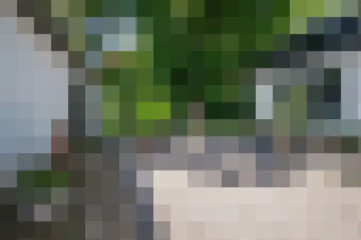 Lijsterweg 2 A Velden thumbnail 39