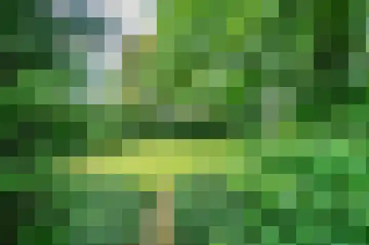 Lijsterweg 2 A Velden thumbnail 45