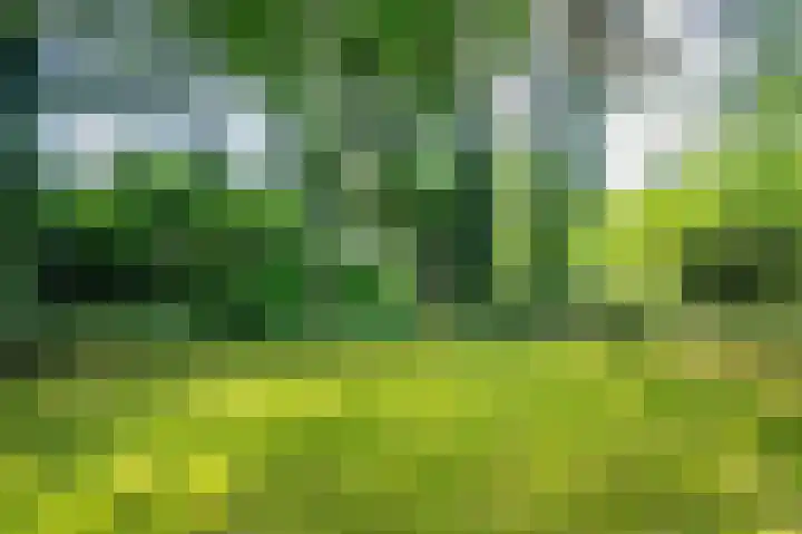 Lijsterweg 2 A Velden thumbnail 47