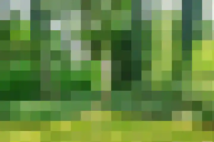 Lijsterweg 2 A Velden thumbnail 48