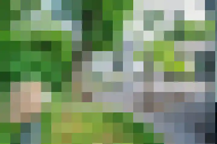 Lijsterweg 2 A Velden thumbnail 50