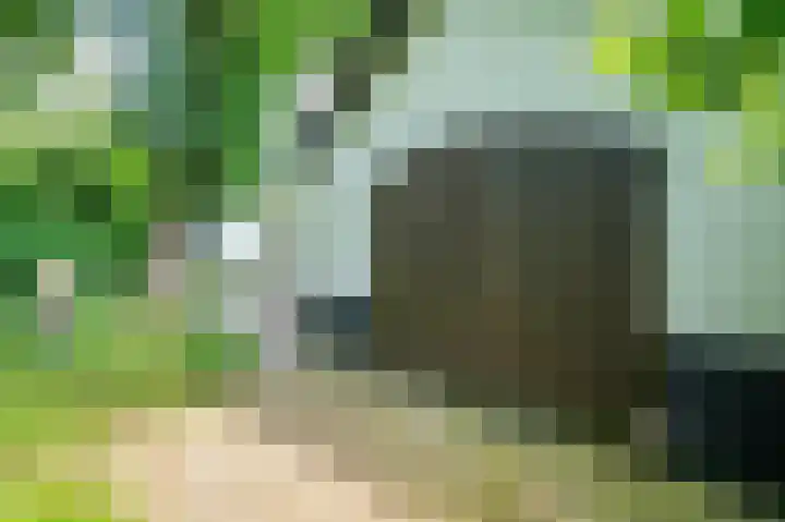 Lijsterweg 2 A Velden thumbnail 51