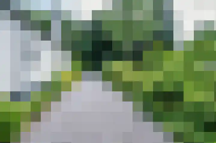 Lijsterweg 2 A Velden thumbnail 53