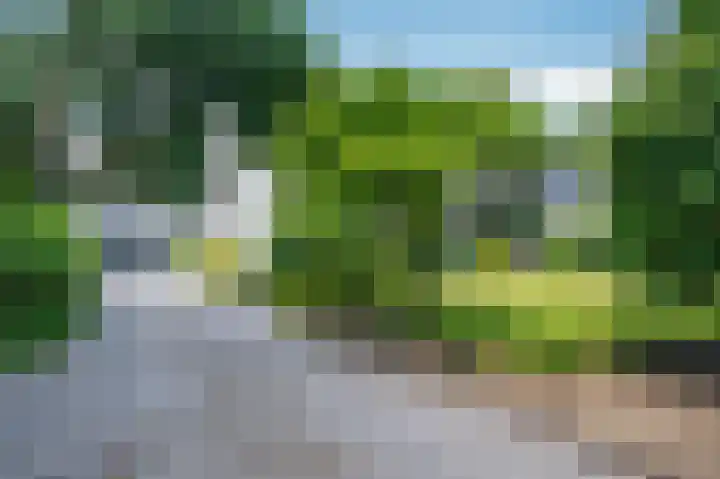 Lijsterweg 2 A Velden thumbnail 54