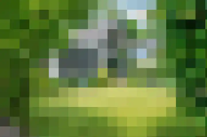 Lijsterweg 2 A Velden thumbnail 55