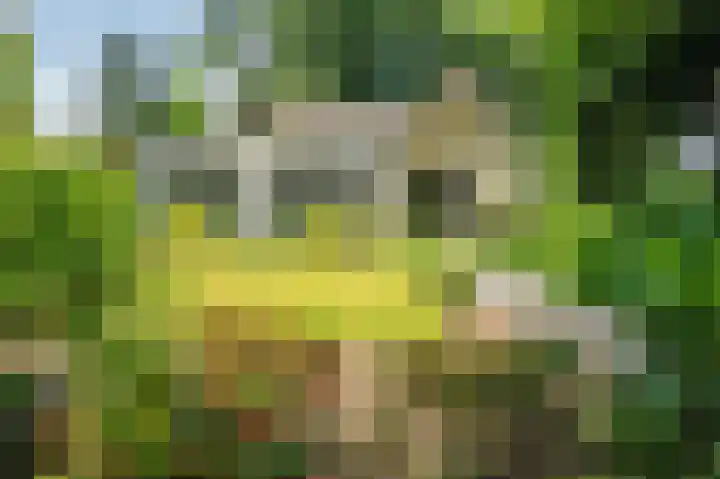 Lijsterweg 2 A Velden thumbnail 56