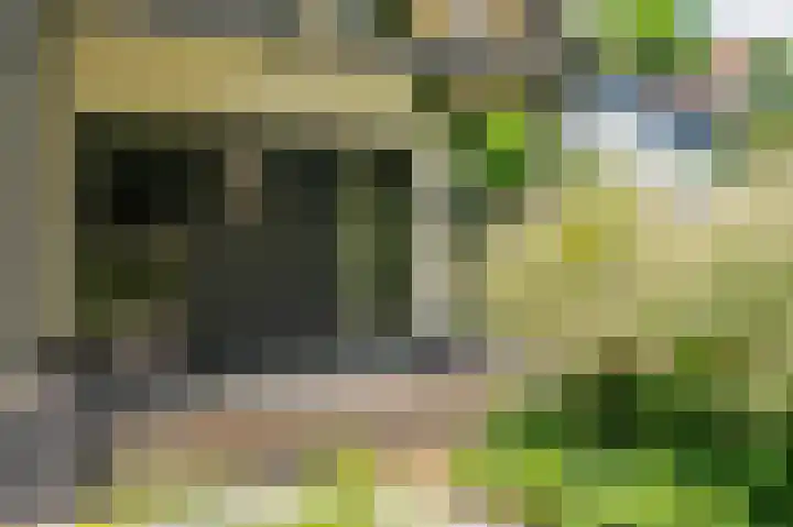 Lijsterweg 2 A Velden thumbnail 57